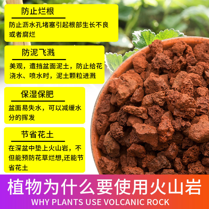 火山石颗粒火山岩大块颗粒原石兰花盆栽龟缸专用水族造景铺面拌土,农用物资,育苗/栽培基质,淘宝优惠券,粉丝福利购,淘宝优惠卷