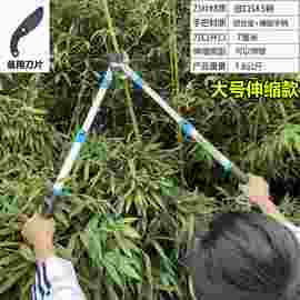 剪树枝专用大剪果树粗枝修剪专用伸缩省力大力修枝剪葡萄花桃树