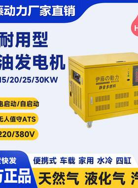 上海SH20FDJ汽油发电机组移动式静音电启动三相水冷20KW