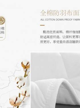 舒适酒垫床保护垫褥OTG羽绒纯棉垫被加厚单双人床护店民宿布草