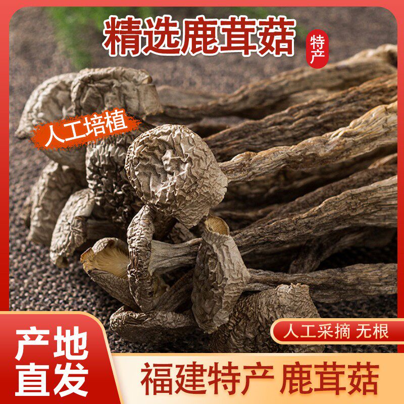鲜香鹿茸菇干货鹿茸菇干货脆脆菇新鲜鹿茸菌福建农家珊瑚菌香菇菌