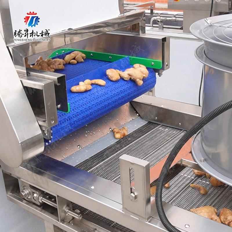 瓜果预泡提升洗干传送生产线清瓜果预泡风物提升机风干机果料蔬清