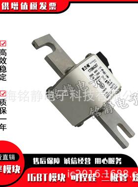 170M4822 170M4823 170M4824 170M4825巴斯曼熔断器170M系列现货