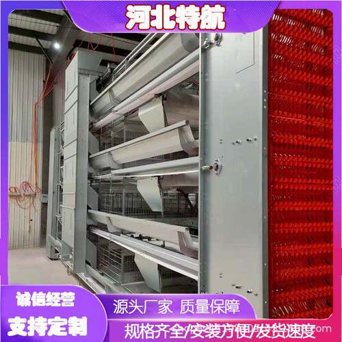 大层叠鸡笼蛋鸡设备全自动养鸡养殖设备多层叠蛋鸡肉鸡笼具镀锌
