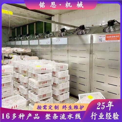 冻转鲜猪肉解冻机多功能冻肉缓化解冻库羊肉化冻设备化冻简