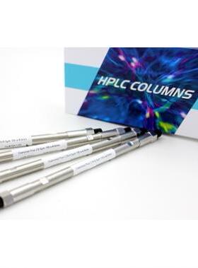 99603迪马液相色谱柱Diamonsil C18(2) 5μm 250 x 4.6mm原装正品