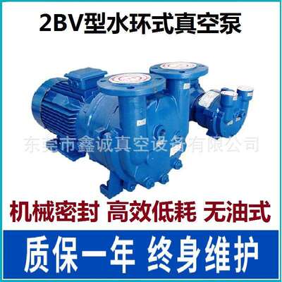 2BV2070型水环式真空泵 CNC雕刻机加工用真空机 模具真空吸附加