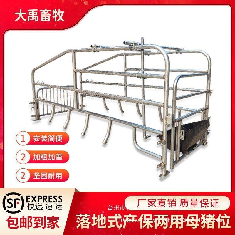 母猪产床 猪产床 仔猪分娩床 猪用双体产床 落地位 简易产床