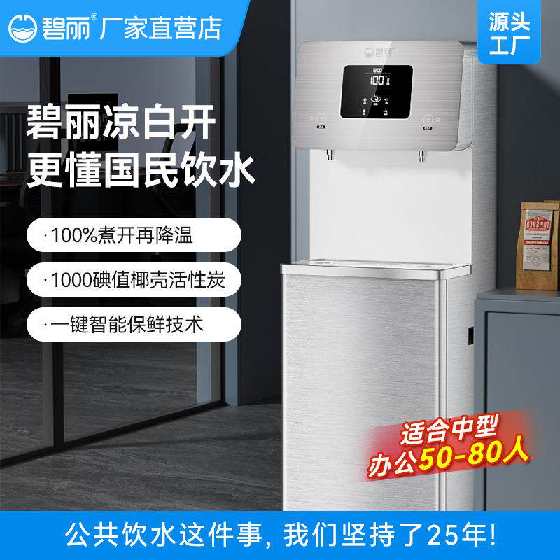 碧丽商用开水器大型工厂办公室学校直饮水机全自动净化一体20L