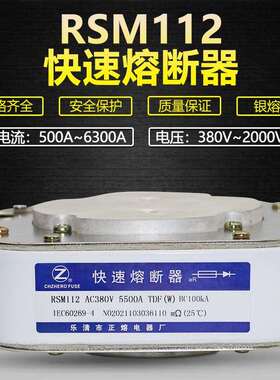 快熔RSM112-380V500V/1000A1250A1500A2000A2250A2500A快速熔断器