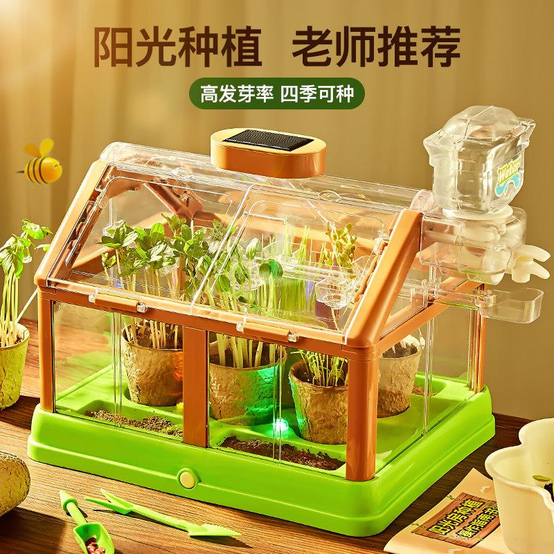 儿童种植小盆栽宝宝迷你开心农场草头长草娃娃种花幼儿园植物观察