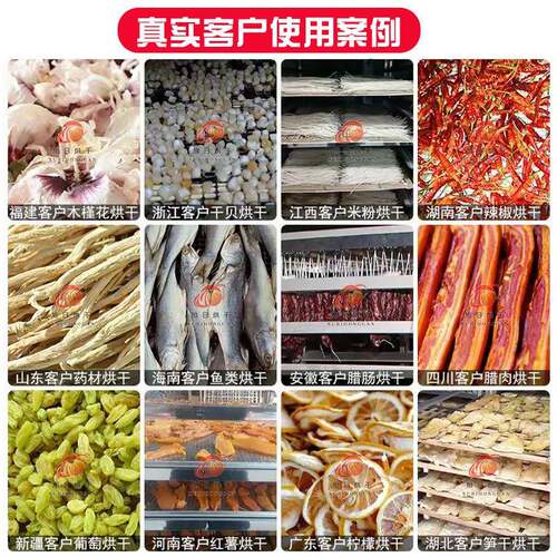 中药材银枸杞烘干机农产品JNT菊花金花热风循环烘干木箱制干竹签