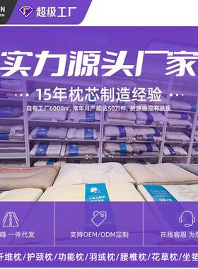 人颈体工程LRZ-045学芯分定位护椎枕头成人高回弹区刺绣枕家用助