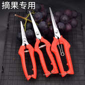葡萄摘果剪修枝剪子果树稀果剪刀粗枝花剪省力树枝修花园艺剪