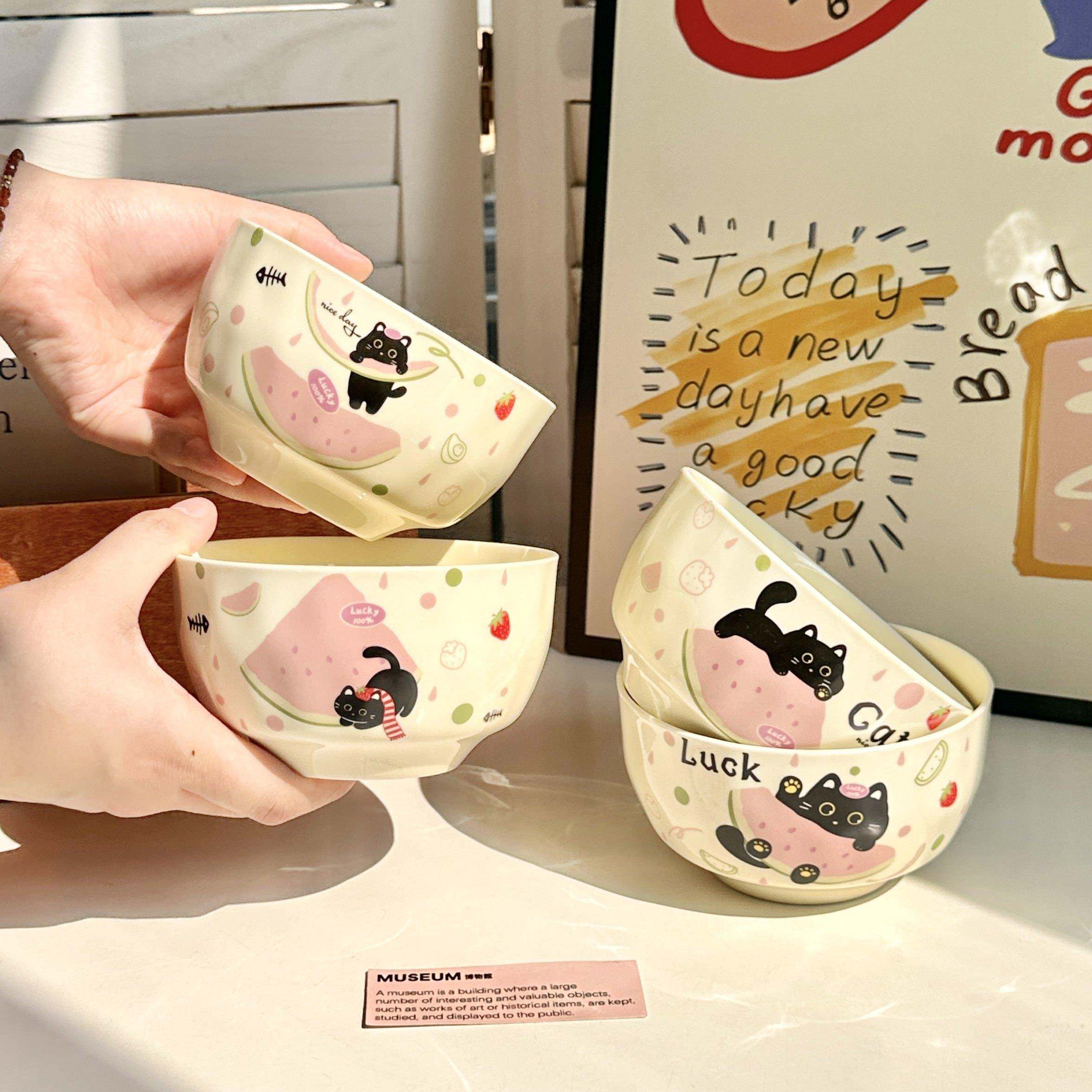 特别漂亮的碗家用2026新款高颜值可爱猫抱西瓜陶瓷饭碗餐具学生宿