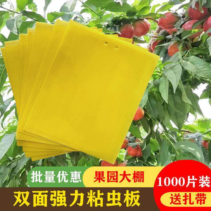 整箱发货双面粘虫板黄色诱虫板防晒防雨温室大棚专用蓟马蓝色粘板