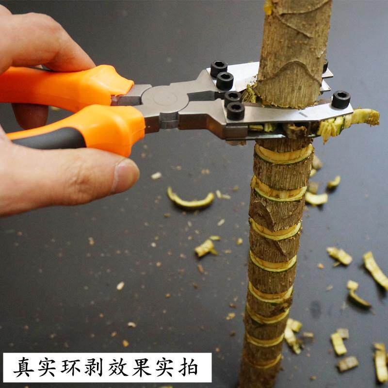 佐中田枣树葡萄NHG树剥器环枝剪果树割刀剥艺树皮园剪刀环环剥工