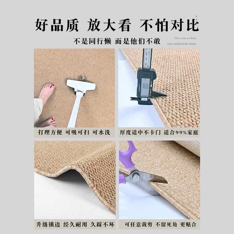 地垫入户门垫进门高级感门垫大门口入门家用脚垫可裁剪仿剑麻地毯