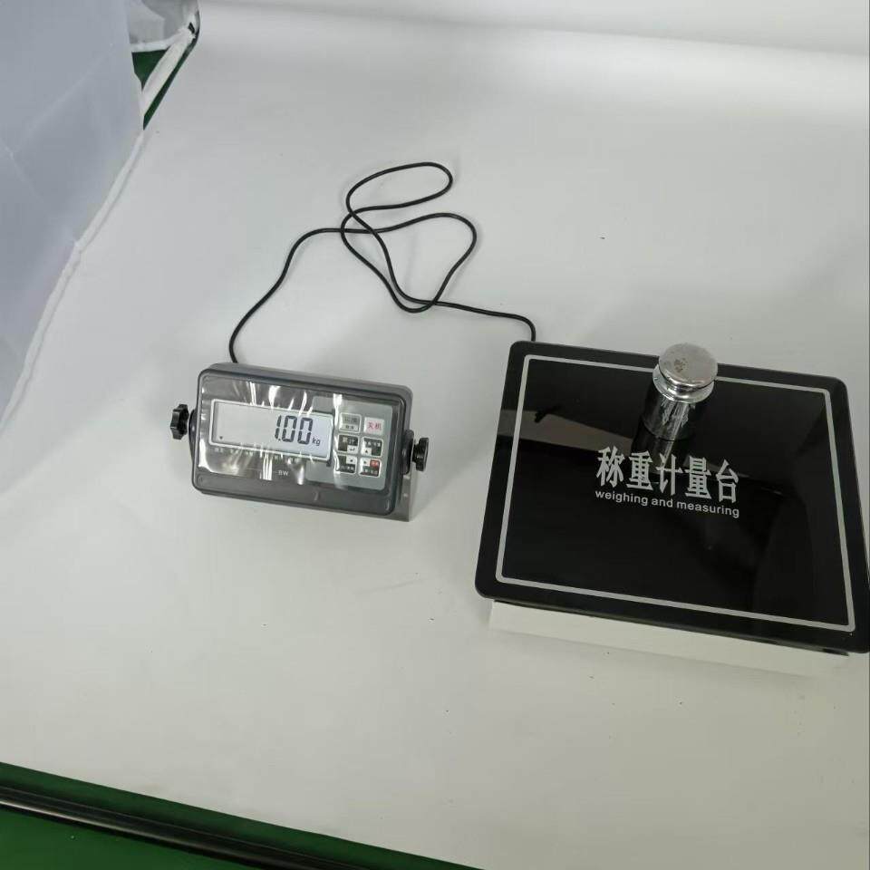 100kg 200㎏ 体重秤 学校健身房专用体重