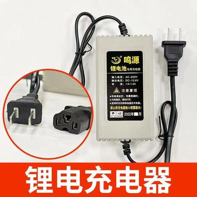 电动喷雾器配件 锂电池通用充电器 农用打药桶蓄电池铅酸池充电器
