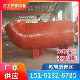 厂家供应管道吹扫消音器 吹管排汽消声器 管道吹扫消声器