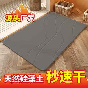 硬硅藻泥吸水地垫浴室门口防滑垫家用卫生间硅藻土进门垫厕所脚垫