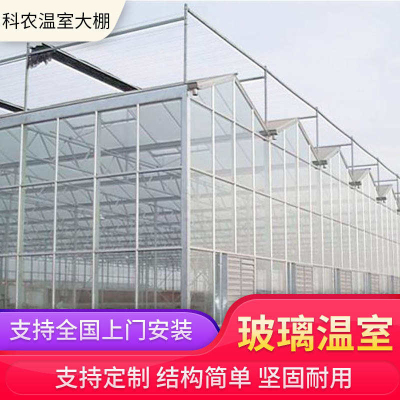 玻璃温室大棚养殖农业水果蓝莓种植设计安装农业用温室夏日遮阳棚