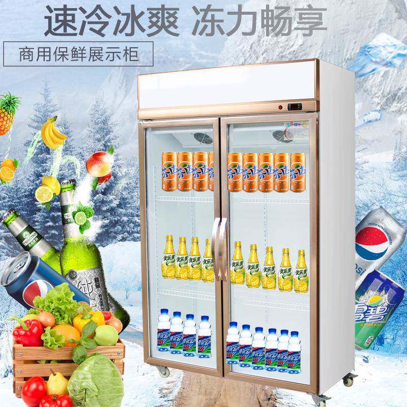 蚂蚁磁电铝合金展料TDF示柜冷藏保鲜柜啤酒机柜饮柜上用商立式冰