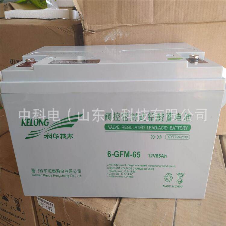 科华蓄电池12V65AH直流屏蓄电池EPS应急电源6-GFM-65-YT科华精卫