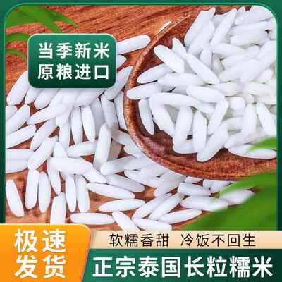 稻巴赫泰国长粒糯米5kg2025新米特级粽子专用白糯米芒果饭江米1斤