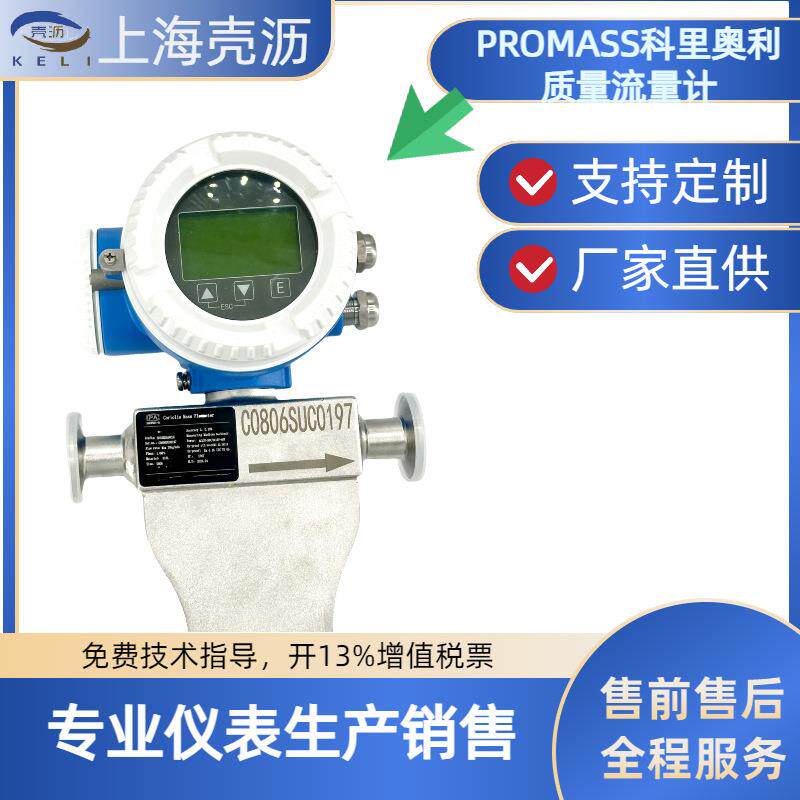 Prolinepromass科里奥利质量流量计E+H的8E3B/40E/80E/80F大流量