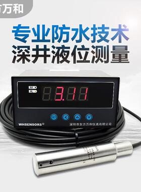 WH311型液位计是投入式法兰式水位水温计陶瓷