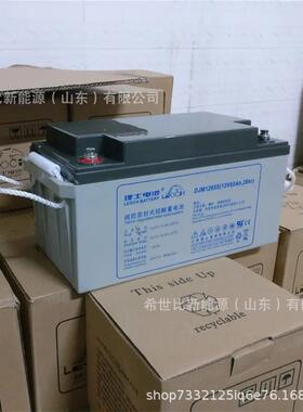 理士铅酸蓄电池DJM1265S12V65AH太阳能发电船舶电厂机房高容量