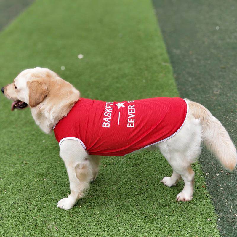 夏天大型犬狗狗衣服金毛衣服边牧拉布拉多萨摩耶大狗衣服薄款