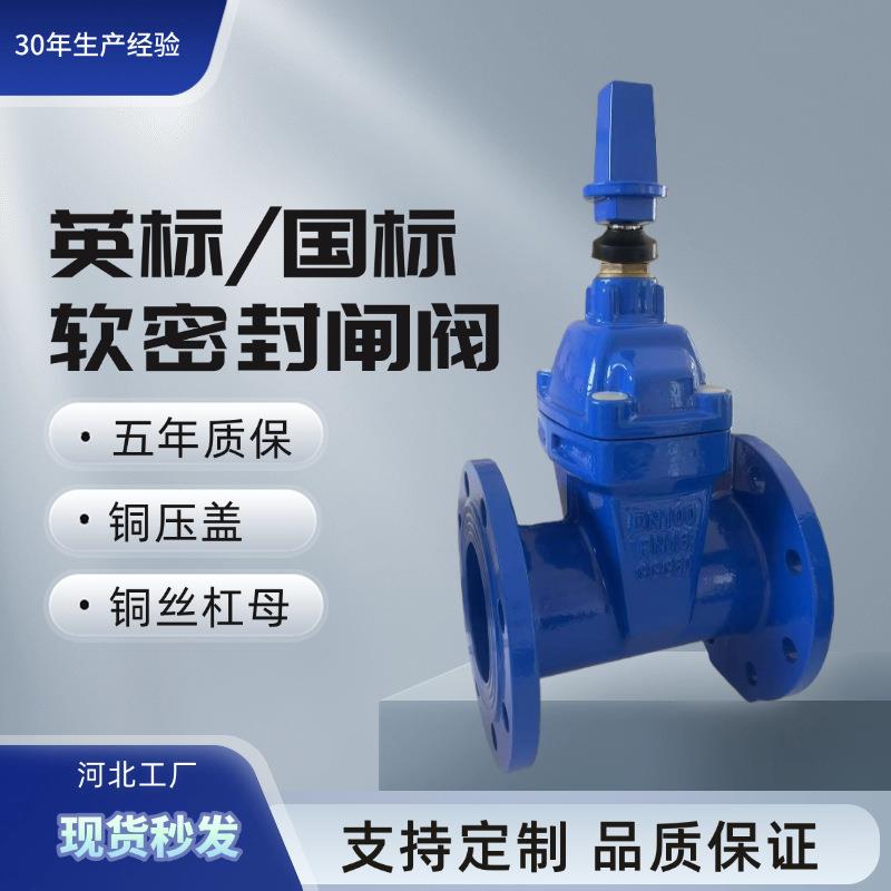 闸阀球墨铸铁闸阀DN100Z45X软密封明杆暗杆闸阀耐磨耐腐蚀