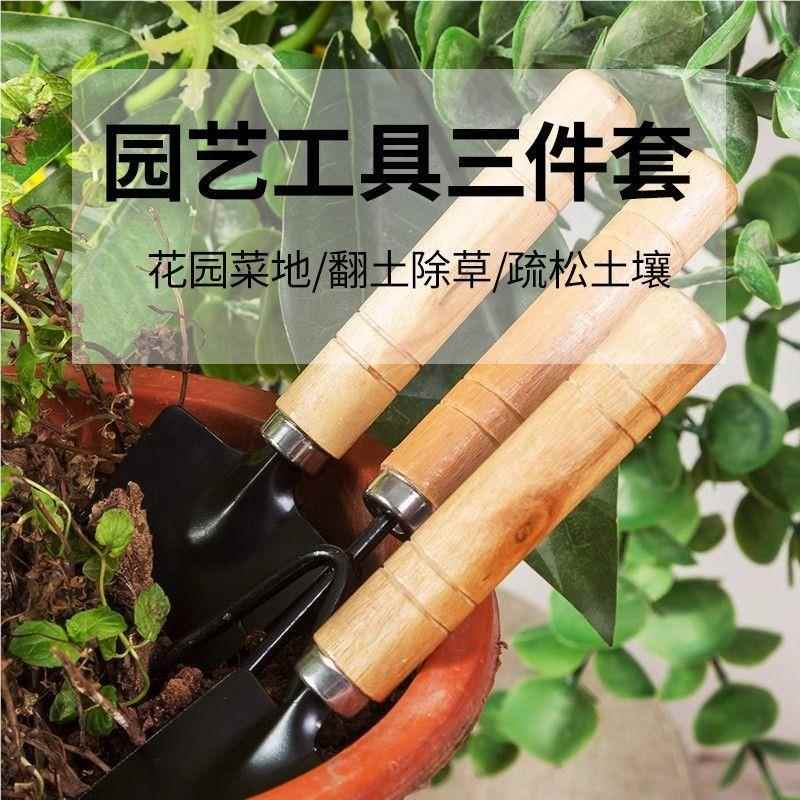 园艺种具植工工具家用松BPO土小子花铲盆栽花艺多肉铲种植三件套