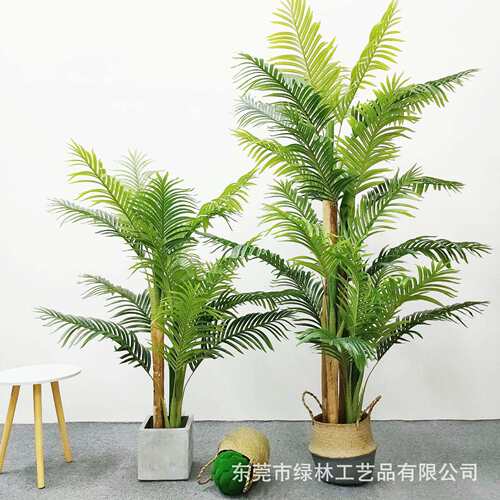 仿真葵树带皮细葵天竺葵假绿植盆栽家居装饰散尾葵树凤尾葵可