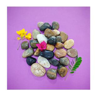 STY20241202黑景色新批次白色鹅石砾卵石日式 庭5院造石多肉植物铺