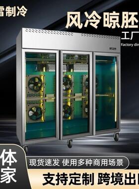 出口新款真风冷晾胚柜风冷烤鸭风干柜吹鸭柜真风冷纯铜管晾胚柜
