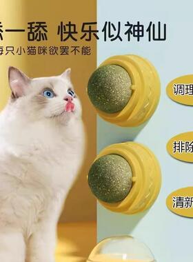 Catnip balls, cat toys for self-entertainment and relieving