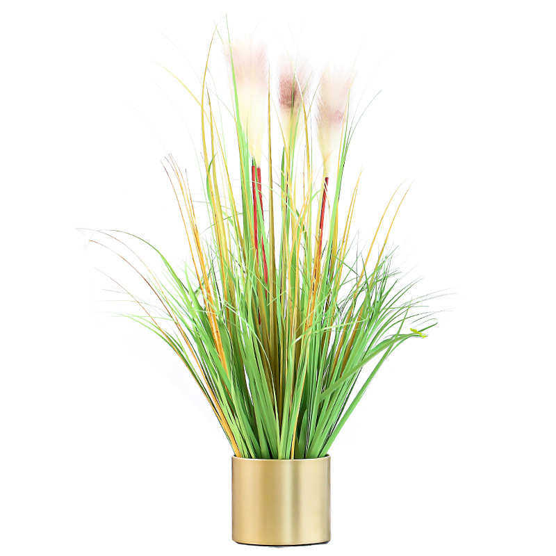 装花盆圆形器金色花盆风艺铁植物地大落器皿花桌面