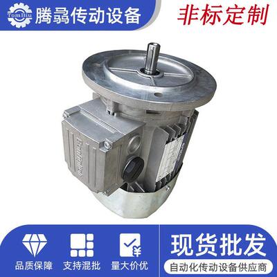 意大B利邦飞利ONFIGL.BN63B4ION三相2异步交流电动机037KW~2KW