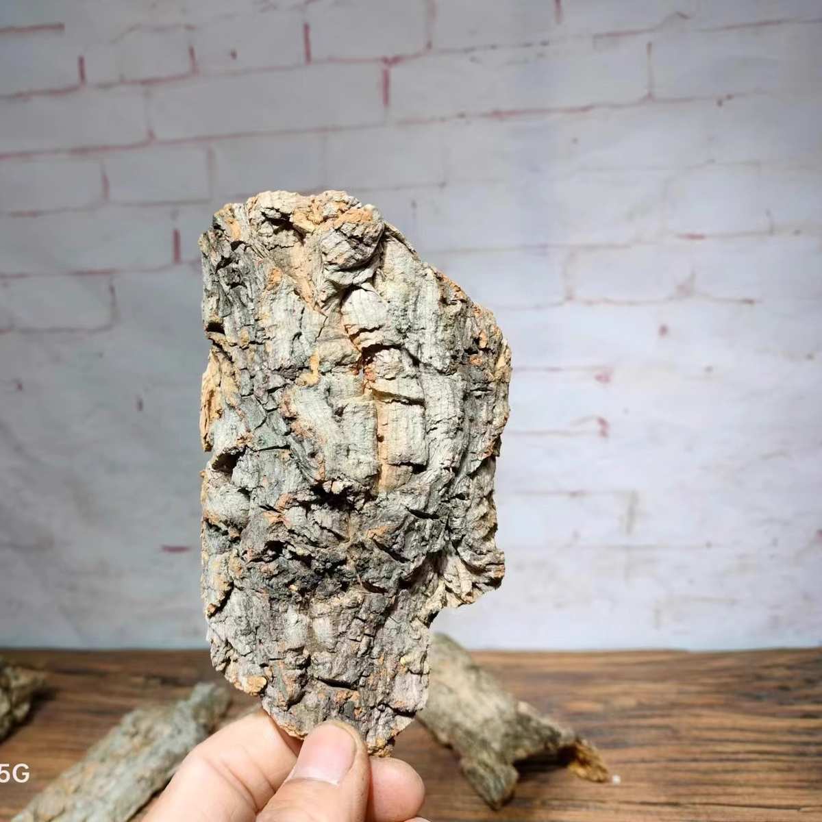 包邮天然香槟木软木树皮碎料蜘蛛鼠妇西瓜虫造景躲避防潮耐腐保温