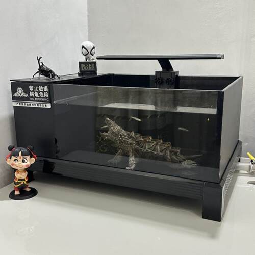 龟缸生态缸玻璃 免换水鱼龟混养缸养乌龟专用缸家用 乌龟缸底排水