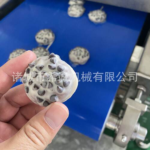 隧道式巧克力涂布机 冷却隧道线 威化饼干蛋卷巧克力涂层生产线