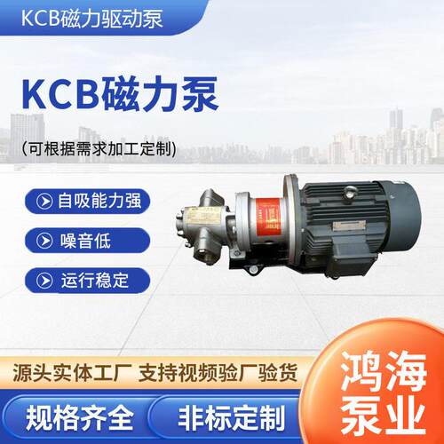 定制温耐磨磁力驱动泵kcb不锈钢磁力泵定制齿轮离心油泵工厂