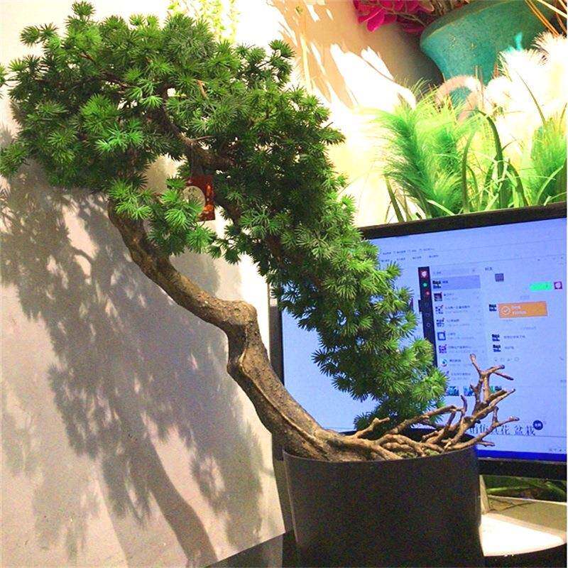 厂直销仿真迎客松家居办公室桌台软装禅意仿真植物摆件迎客松
