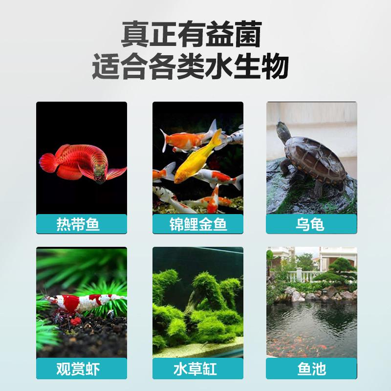 创宁硝化菌消化细菌养鱼水质净化剂净水稳定剂硝化细菌鱼缸用