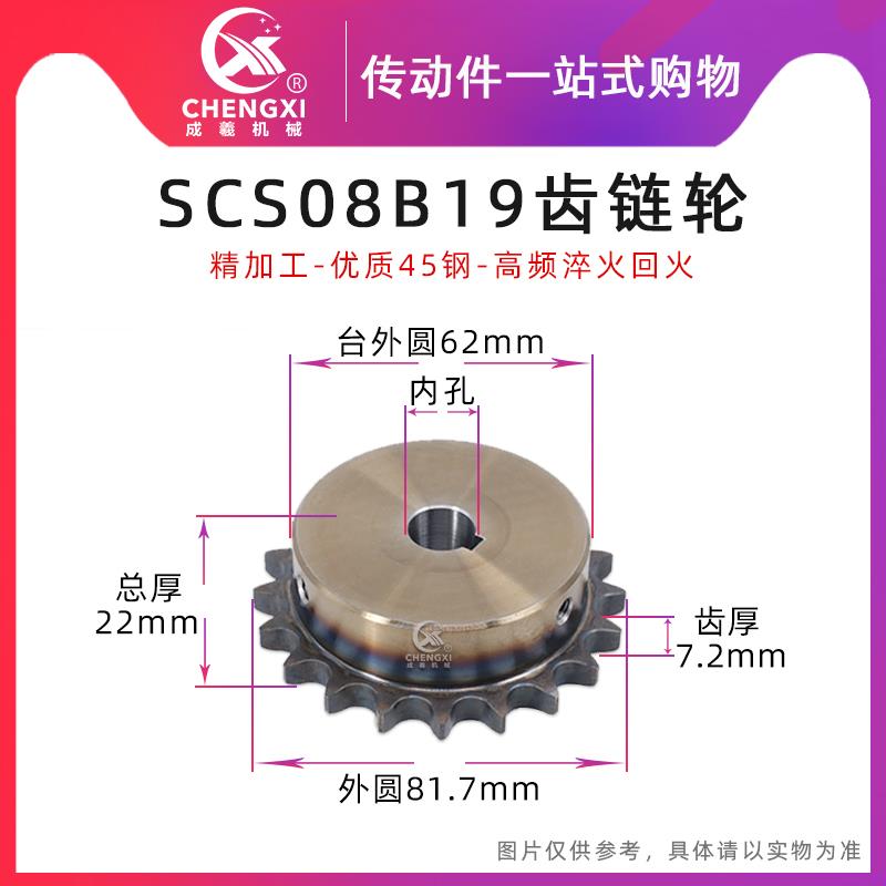 SCS高品质成型孔链轮4分19齿 08B19T外径81.7 精车内孔键槽顶丝