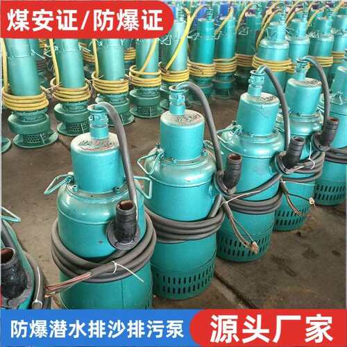 BQS矿用隔爆型潜水排沙泵BQS63-540/6-250/N大流量污水泵